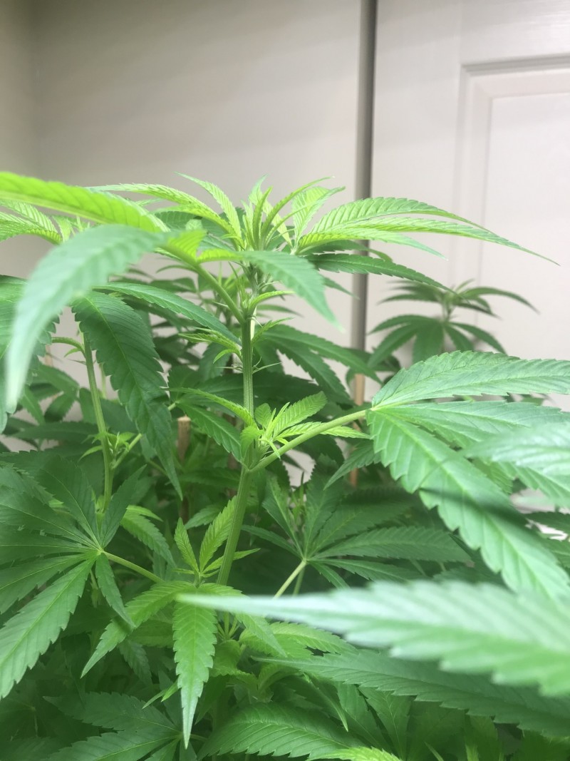 D6272DA1-DF52-4CC1-9DFC-712A767C2EF9