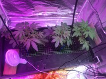 A0B39081-A239-497E-8EB1-B0A045846BF7