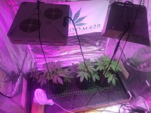 4C37DC12-6B0D-45CD-89D2-59ABC9816FC3