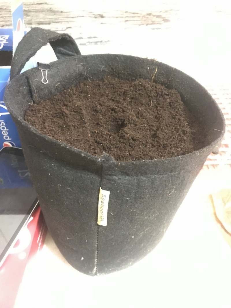 F30B1B24-75D4-482A-8430-16BF3942346B