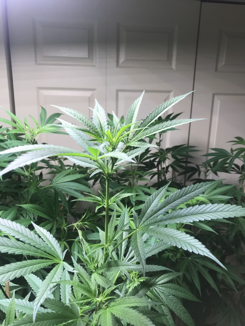 81B569EF-0D2E-4341-B460-200CF42E10F9