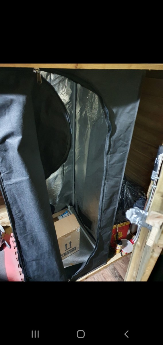 Screenshot_20200901-205221_Gallery