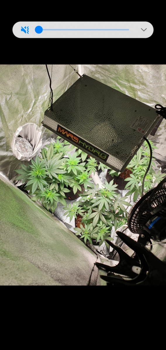 Screenshot_20200901-205213_Gallery