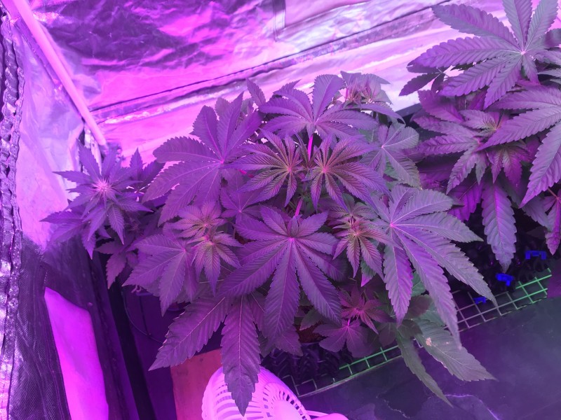 6D75ADF7-8B09-4463-AE87-614F5AD02D11