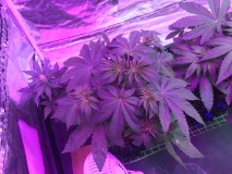 6D75ADF7-8B09-4463-AE87-614F5AD02D11