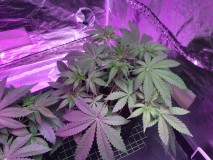 04C15559-EBC8-45F6-B877-C84219B1A222