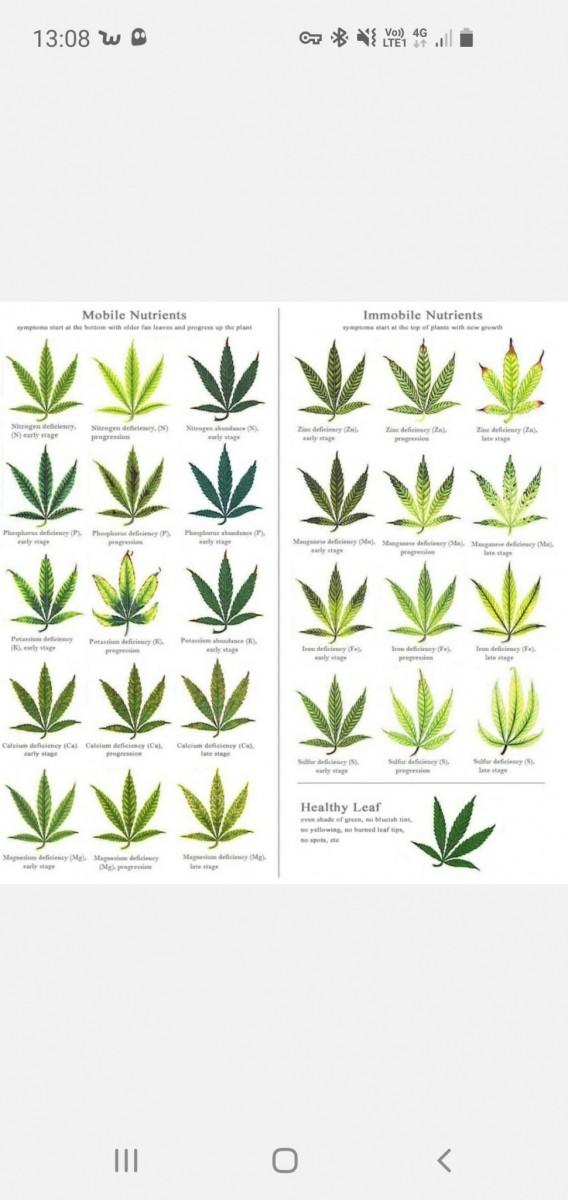 Screenshot_20200902-130823_Samsung Notes