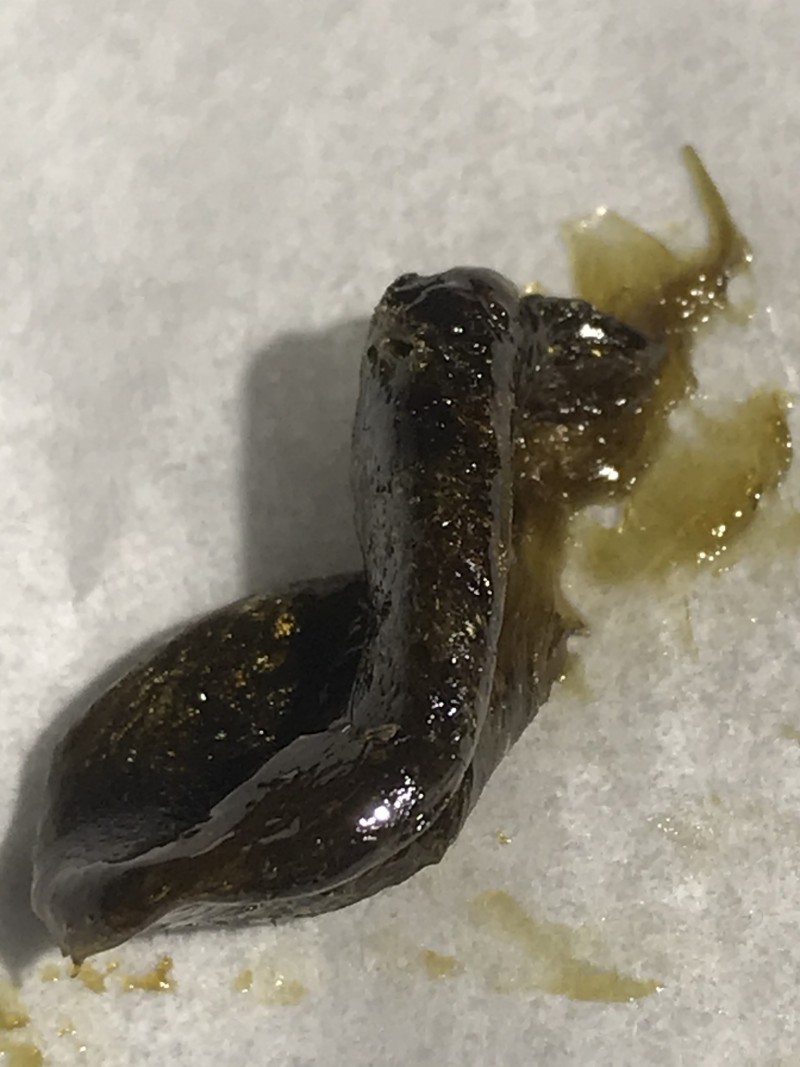 14A4424C-6086-482A-8724-10FA88223D08