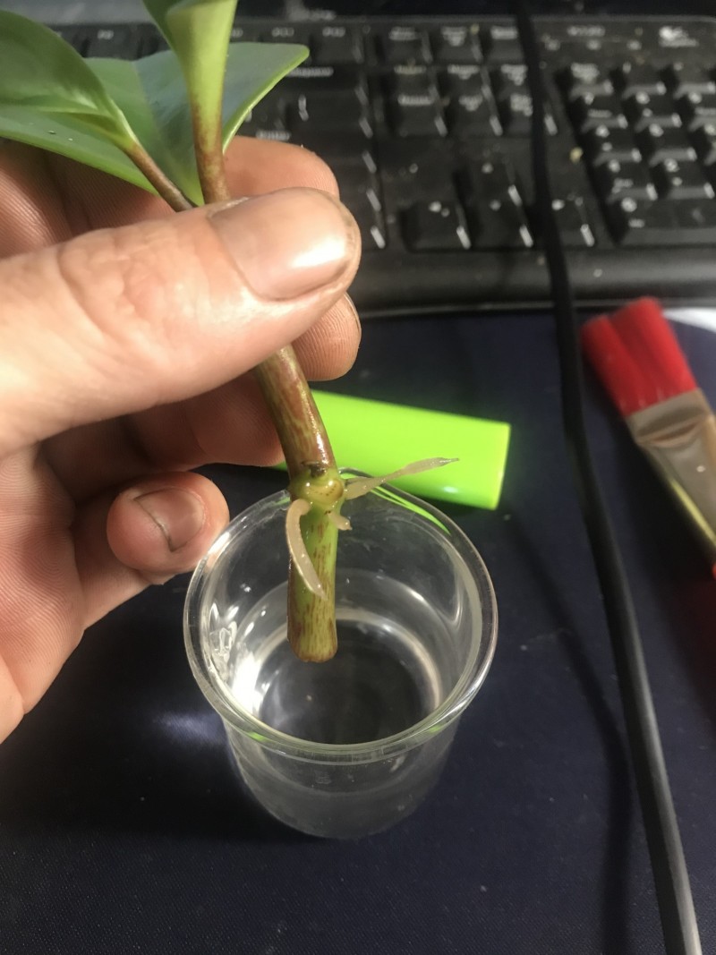 37FC4B54-6540-4983-B167-891BAE65B1B1