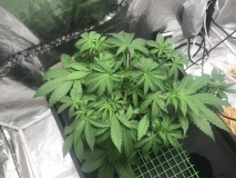 F3EFDCD7-26E0-4E4F-AD0E-F9B6F90D5A75