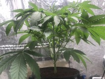 6CF9CAEF-71D0-4065-915E-04362772861F