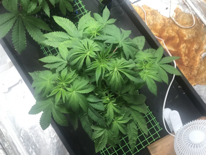 287CE93D-E174-4E2E-981E-692B1862D916