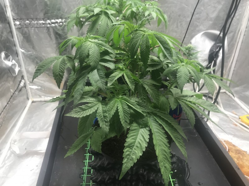 92960042-458B-46F3-AB19-003EDD38868C