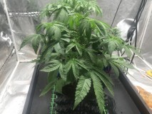 92960042-458B-46F3-AB19-003EDD38868C