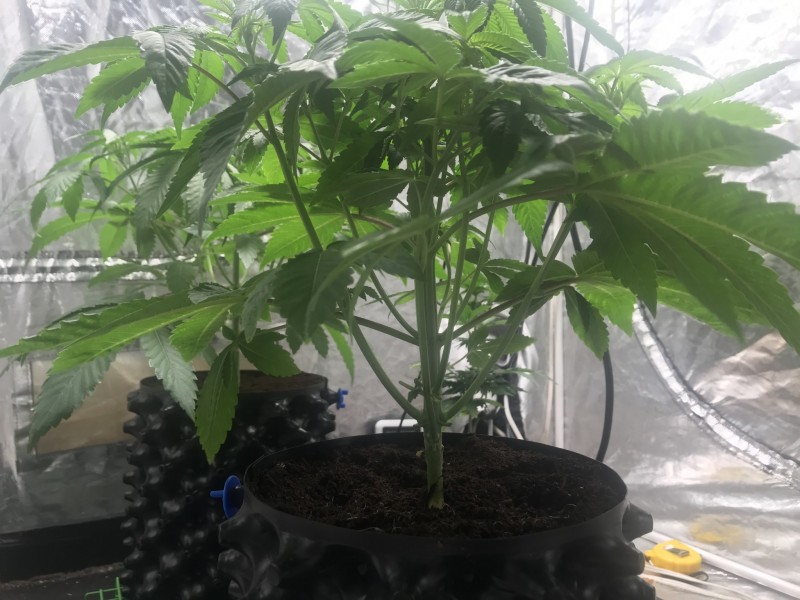 A8E7257C-977C-482B-8C3E-3074CD690402