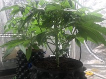 A8E7257C-977C-482B-8C3E-3074CD690402