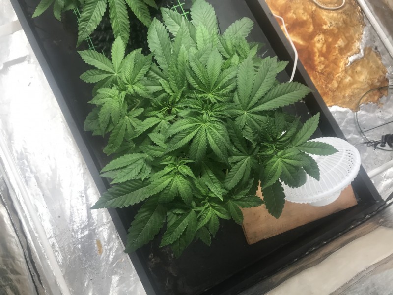 D2E4D7FE-0500-4E67-9773-0AB0000DEB37