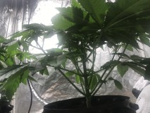 2B61E06E-95C6-48DE-800D-9A46A4485F44