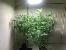 55FDC055-57C2-4271-B24F-1AA8516CB85A