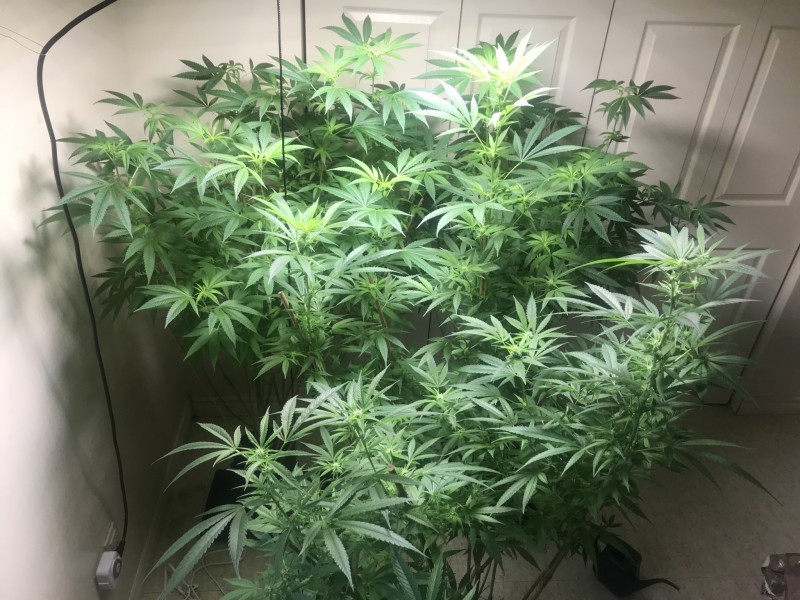 EADCDE47-577C-4F0B-866A-85E4F284AA85