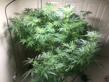 EADCDE47-577C-4F0B-866A-85E4F284AA85