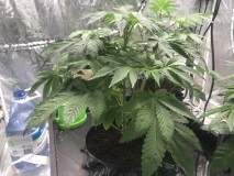 7A5D740B-C0D9-4C95-8F67-23FE9C39E036