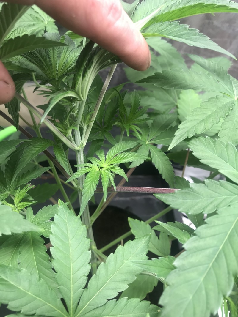 3E4B5E57-E756-4A37-8A4A-F3B78645CF32