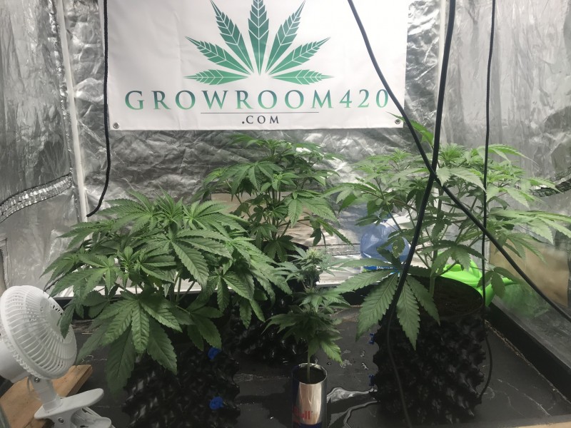 25172DFB-444E-45D9-B708-83EB1AD4DDD9