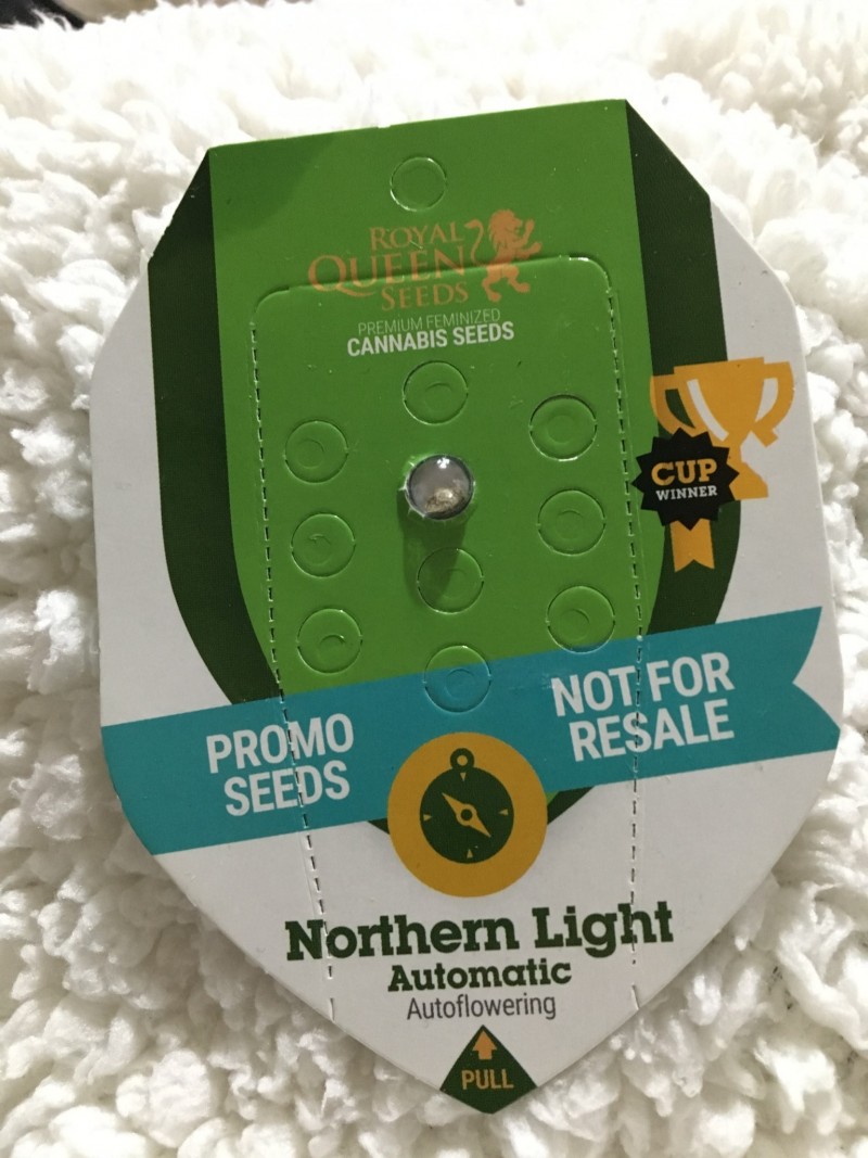 61CF932F-80E0-44B3-A3E3-9BCE9B9535FF