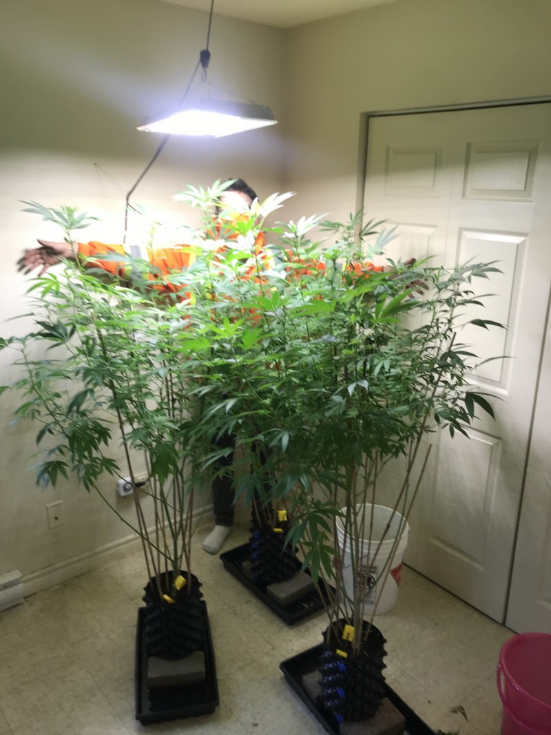 0348B566-196D-49AF-86EC-DA1D2A712CDC