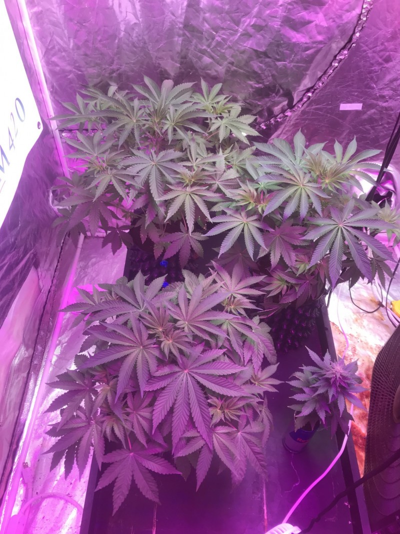 34CAA271-6C2B-43A5-8FBA-8A7713FC455B