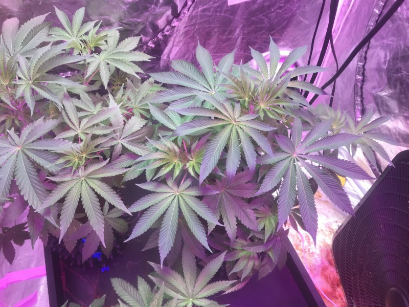 231C23CA-1580-4860-811F-BA18571E48D3