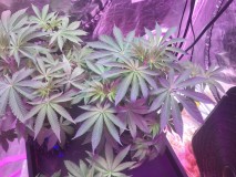 231C23CA-1580-4860-811F-BA18571E48D3