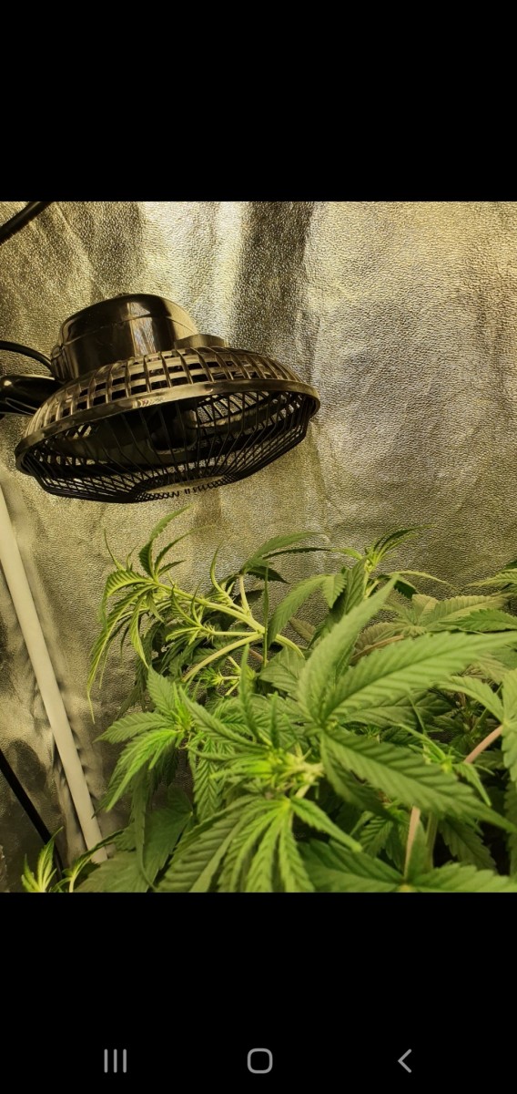 Screenshot_20200909-205836_Gallery