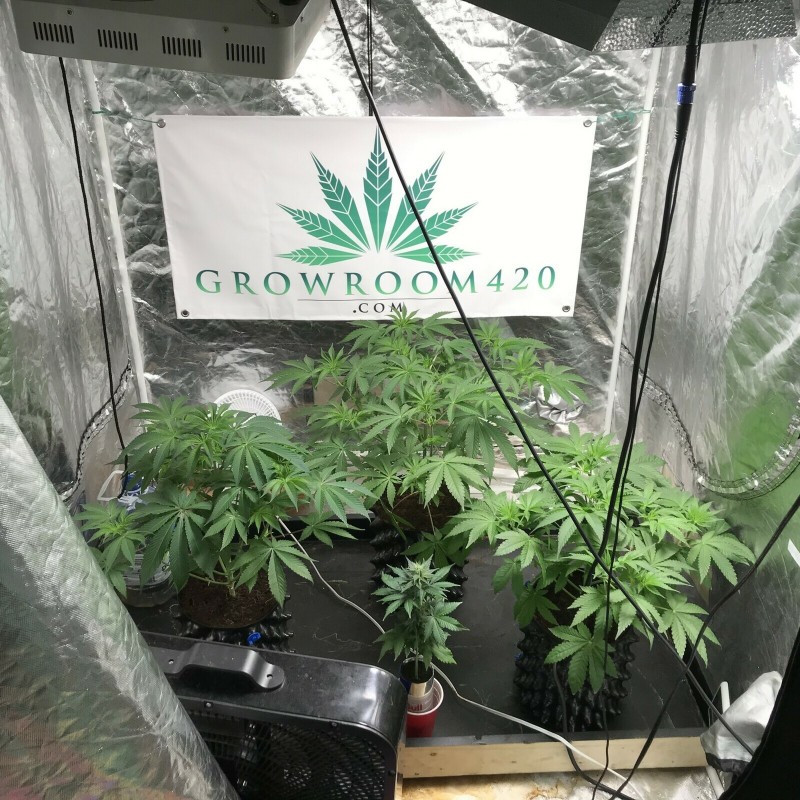 9FE05AFF-A8CF-41F5-8826-644DFE1E87E0