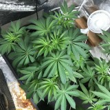 DC088D9E-219B-4F0C-A150-9B0AB9D8D882