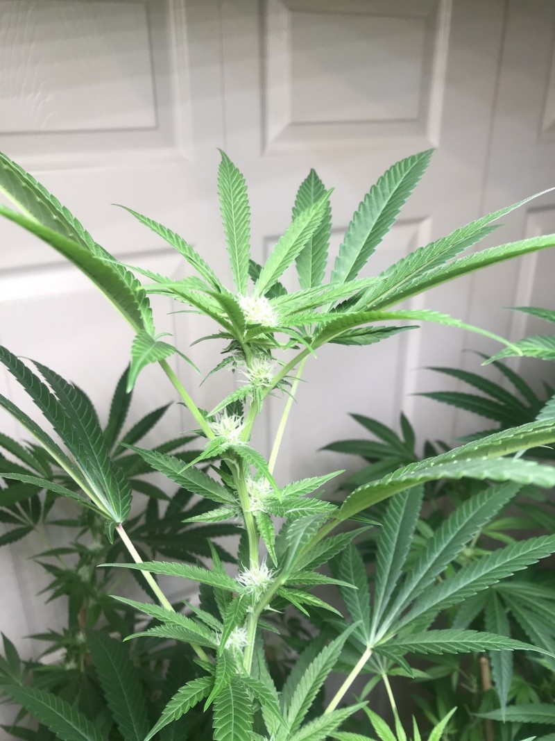 B37C6378-FAAF-45E0-980B-A3CF794204CD