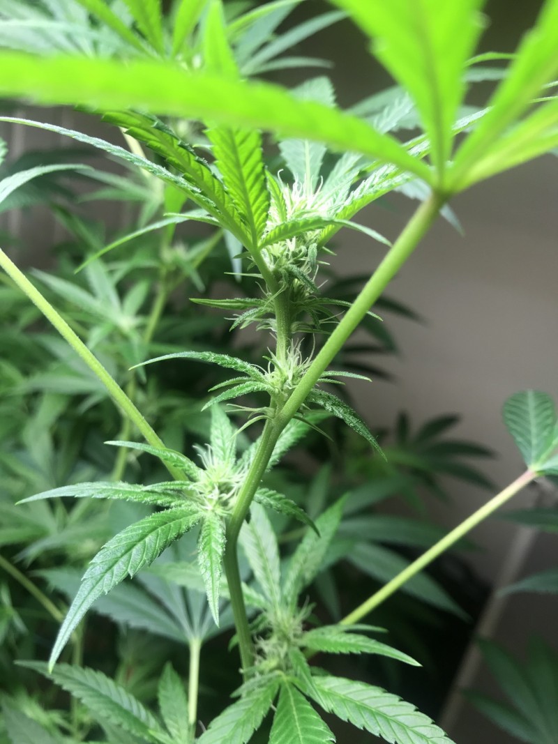 9DA8C0BB-19F4-4FB1-9FE8-C6D26206BB8D