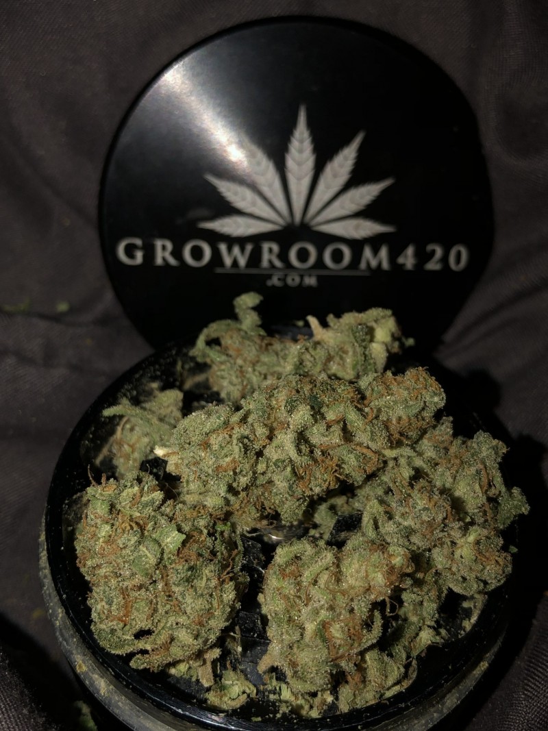 4A513779-9EE2-4AA5-AF2C-71D3FC28E810