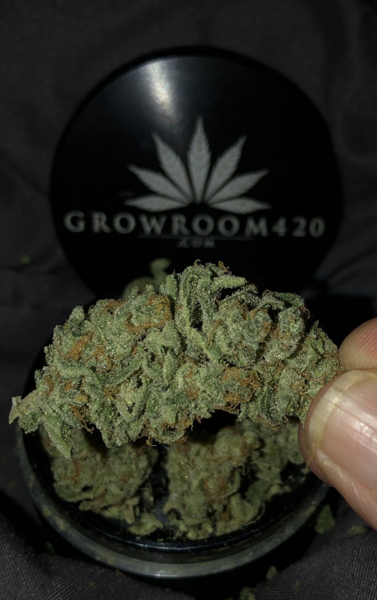 F40ABA40-8EF3-46A6-A0DF-15CB609BF8E5