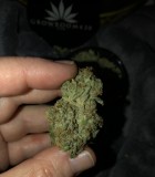 B01EFE1E-2958-4241-8A6C-4465D14631BD