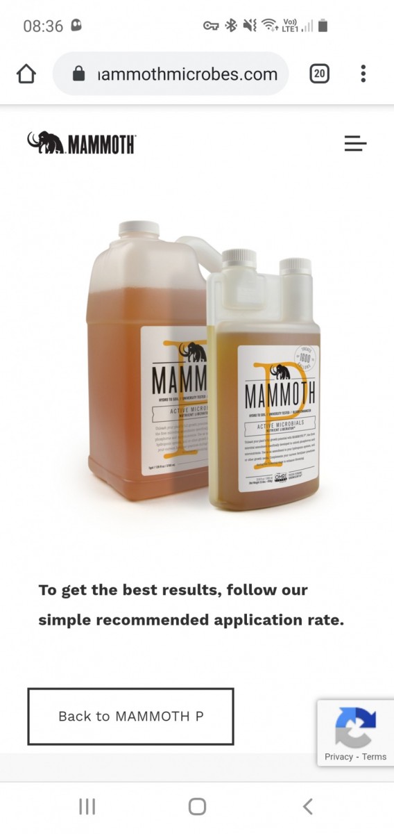 Screenshot_20200914-083606_Chrome