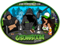 Webp.net-resizeimage