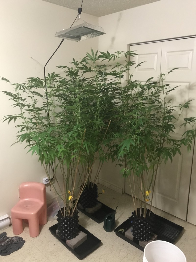 C12E87D3-89D4-4C52-B748-26BB12A5A859