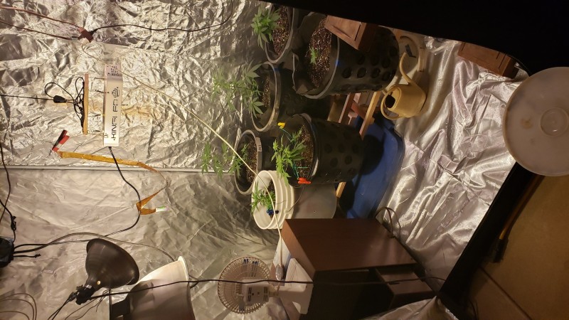 16001757742673420539765803178752