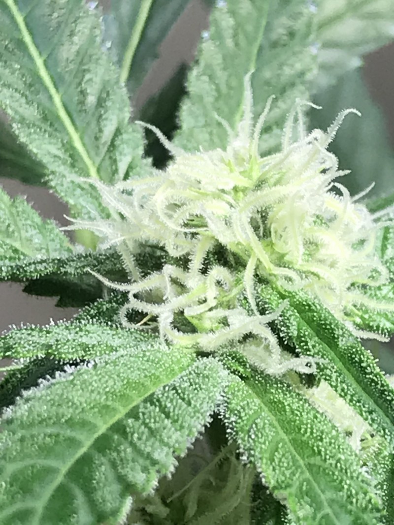 65AE560B-1CFD-4095-9D95-3E7820DD458C