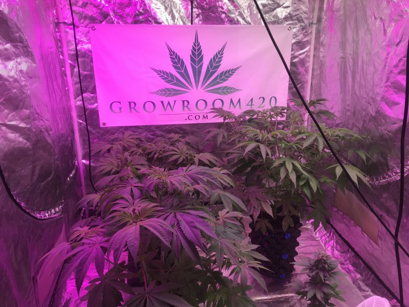 3DEC6861-BA4E-42A9-9D3C-9B03691EA319