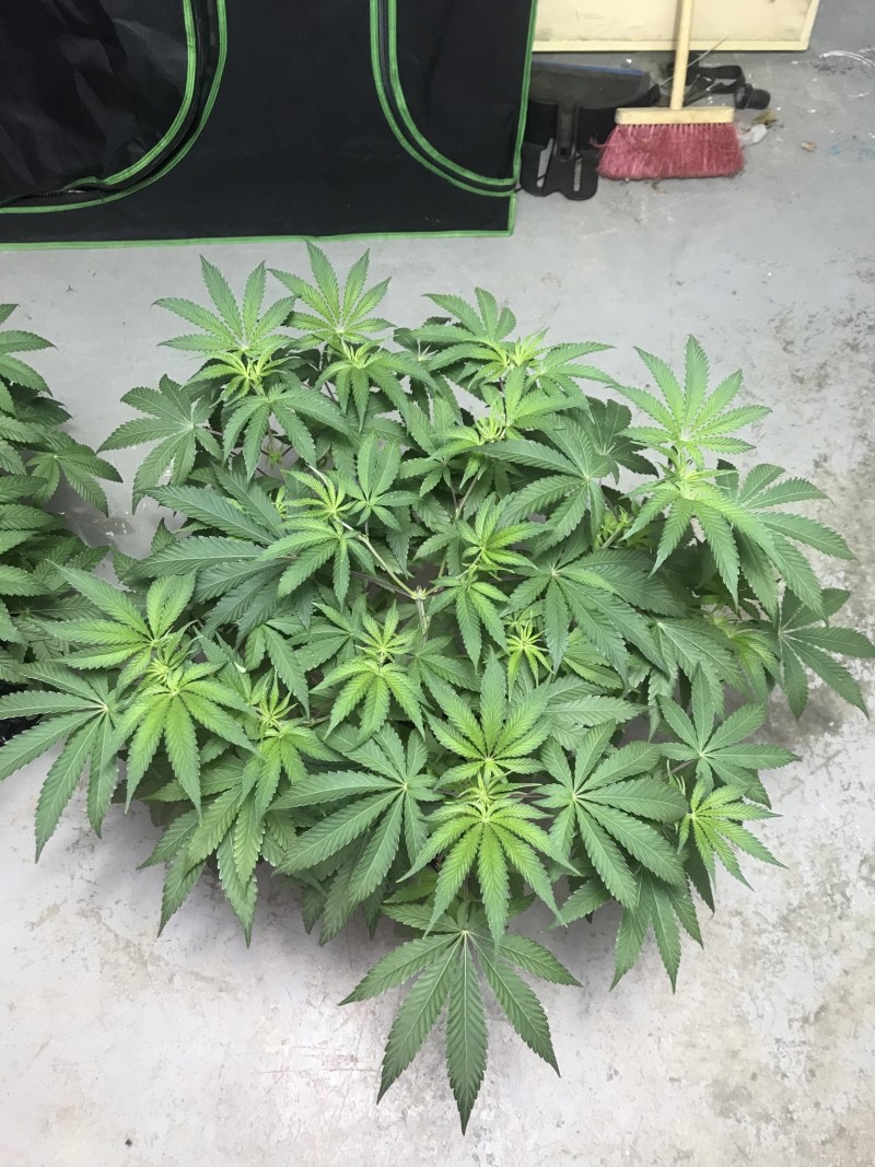 8CDCCD3B-0B9F-485F-8554-21F5376B5124