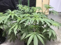 840D4327-6241-4E46-BF5B-F0A9134AF581