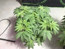 D078387A-1796-4476-9A6B-53538F499B5E